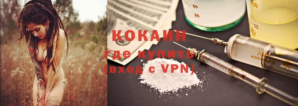 индика Алзамай