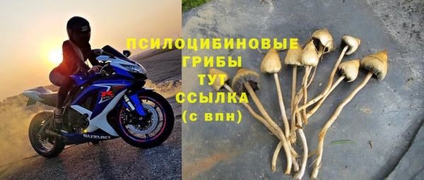 бутират Алексин
