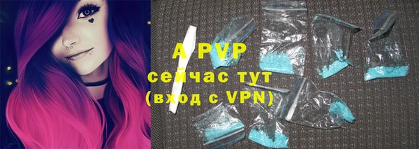 индика Алзамай