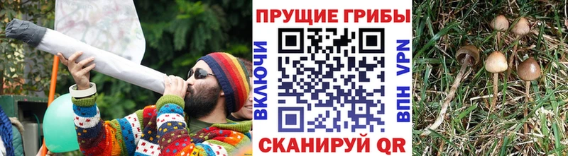 Псилоцибиновые грибы MAGIC MUSHROOMS  Приозерск 